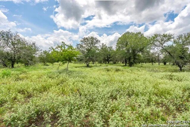 330 S Encino Crossing Natalia, TX 78059