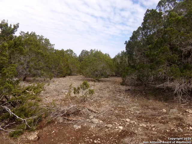 5 Pvt rd 2560 Uvalde, TX 78838