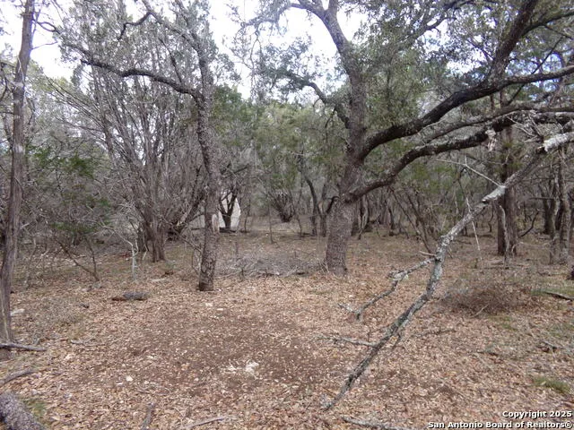 5 Pvt rd 2560 Uvalde, TX 78838