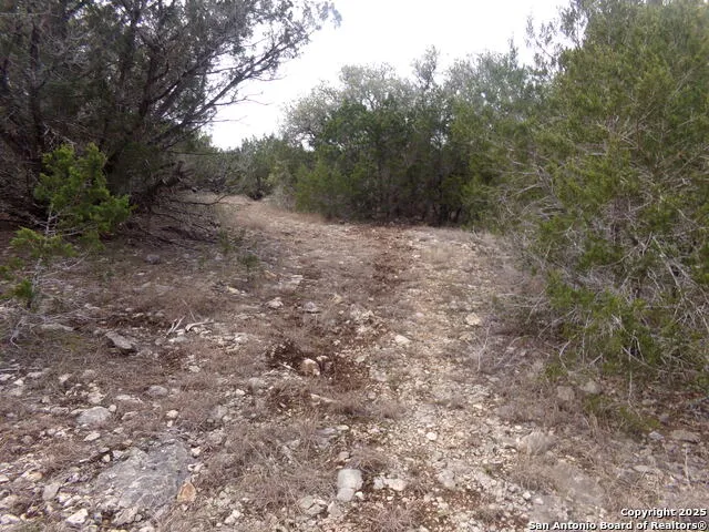 5 Pvt rd 2560 Uvalde, TX 78838