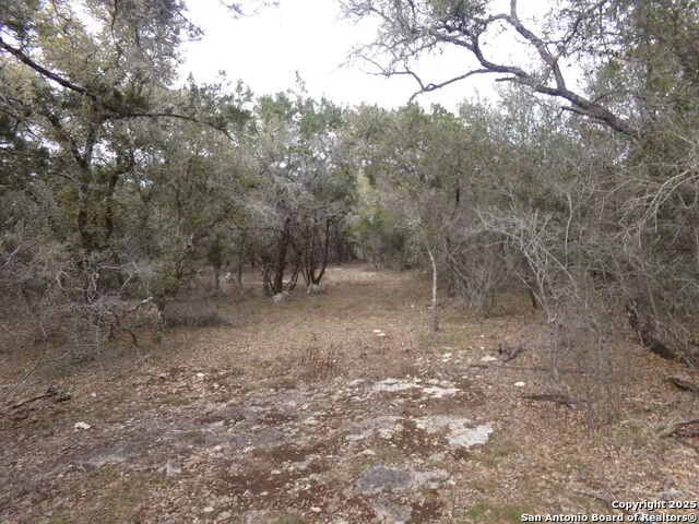5 Pvt rd 2560 Uvalde, TX 78838