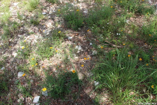 LOT 52 Clear Water Cyn Helotes, TX 78023