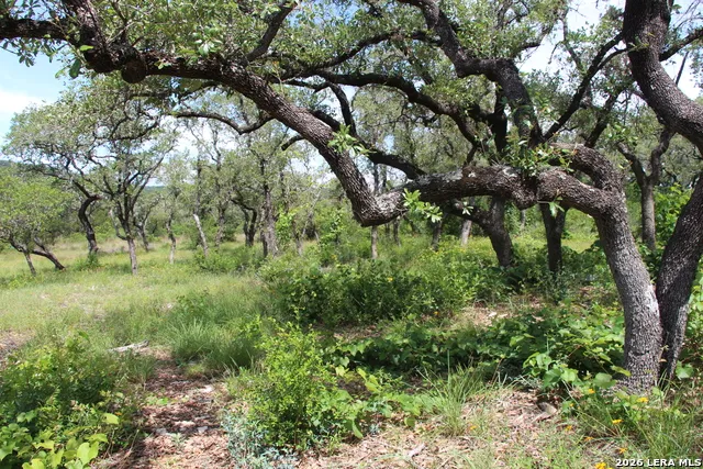 LOT 52 Clear Water Cyn Helotes, TX 78023