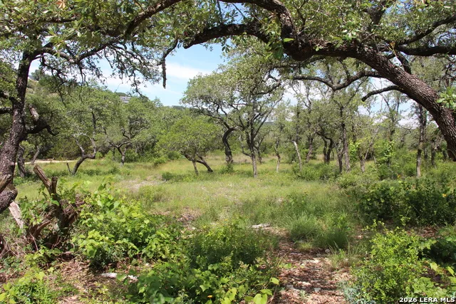 LOT 52 Clear Water Cyn Helotes, TX 78023