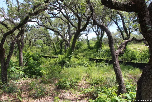 LOT 52 Clear Water Cyn Helotes, TX 78023