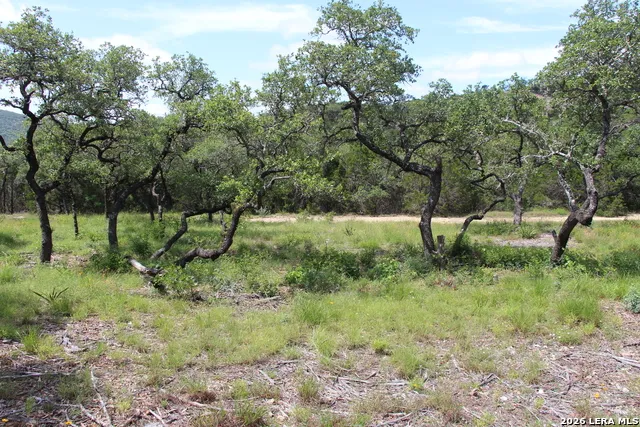 LOT 52 Clear Water Cyn Helotes, TX 78023