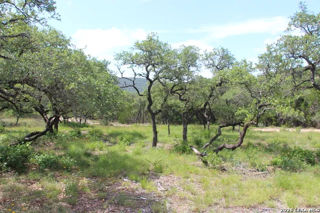 LOT 52 Clear Water Cyn Helotes, TX 78023