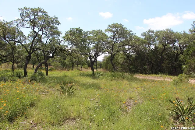 LOT 52 Clear Water Cyn Helotes, TX 78023