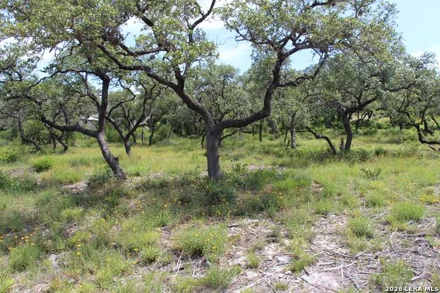 LOT 52 Clear Water Cyn Helotes, TX 78023