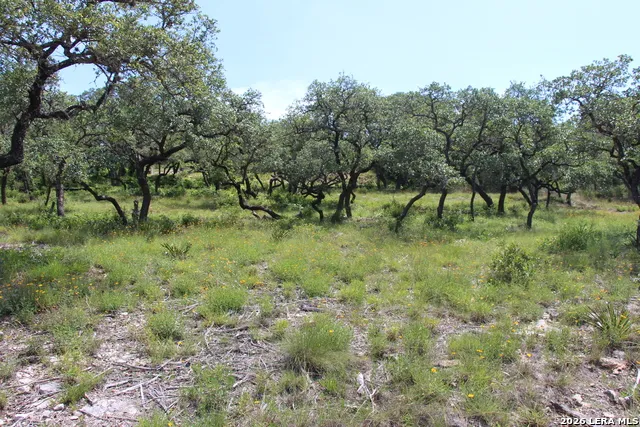 LOT 52 Clear Water Cyn Helotes, TX 78023