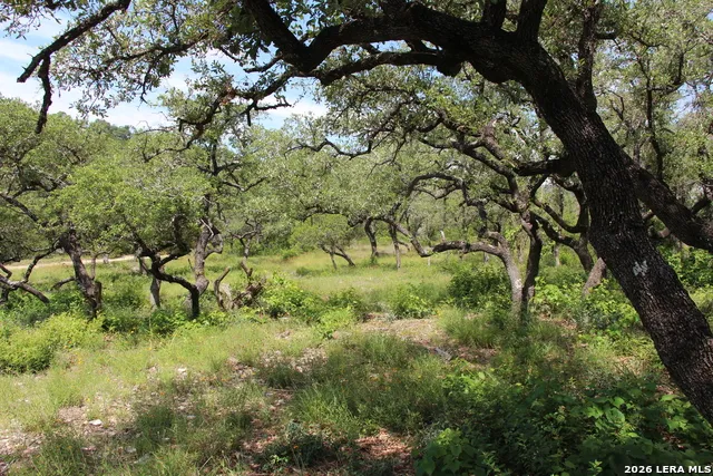 LOT 52 Clear Water Cyn Helotes, TX 78023