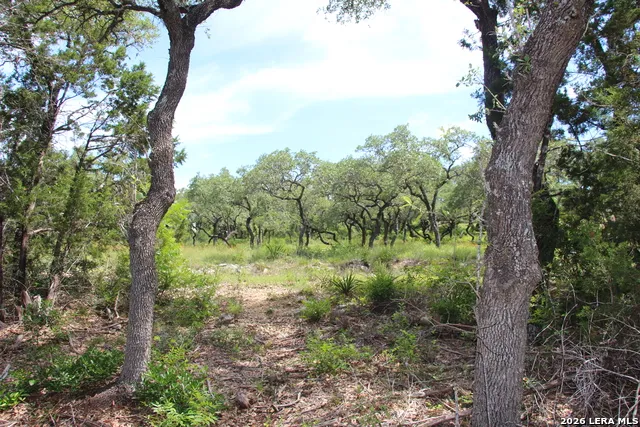 LOT 52 Clear Water Cyn Helotes, TX 78023