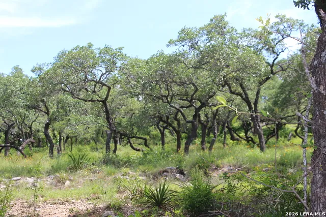 LOT 52 Clear Water Cyn Helotes, TX 78023