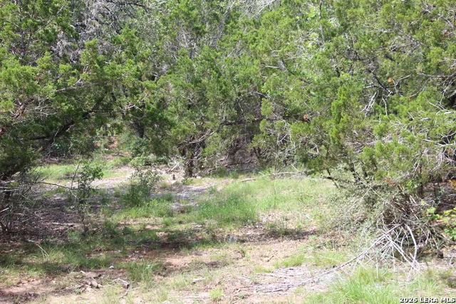 LOT 52 Clear Water Cyn Helotes, TX 78023