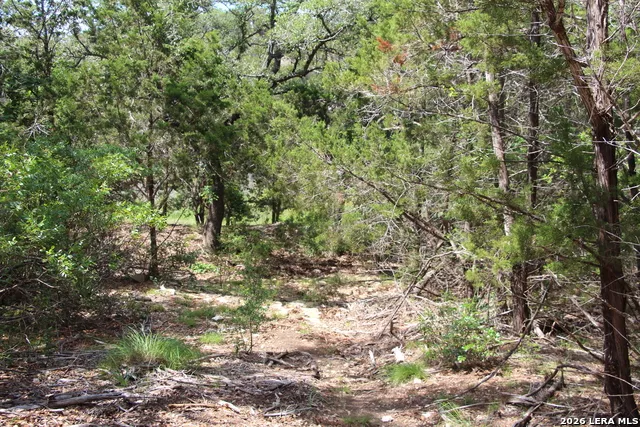 LOT 52 Clear Water Cyn Helotes, TX 78023