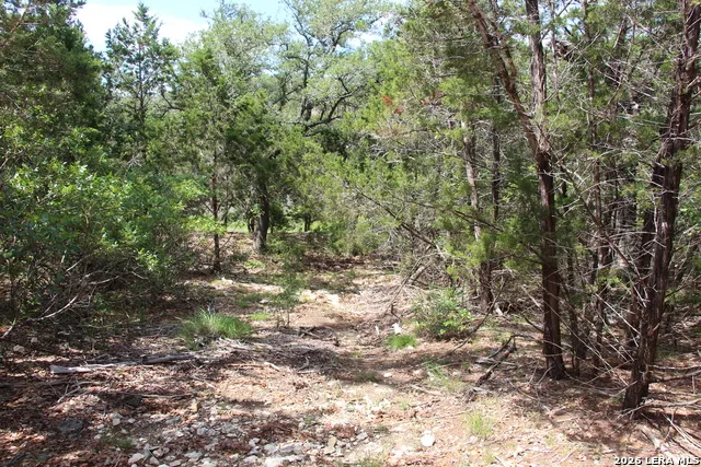 LOT 52 Clear Water Cyn Helotes, TX 78023