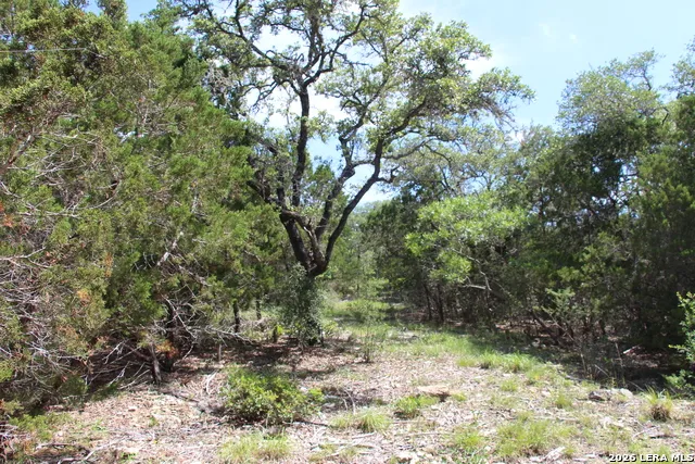 LOT 52 Clear Water Cyn Helotes, TX 78023
