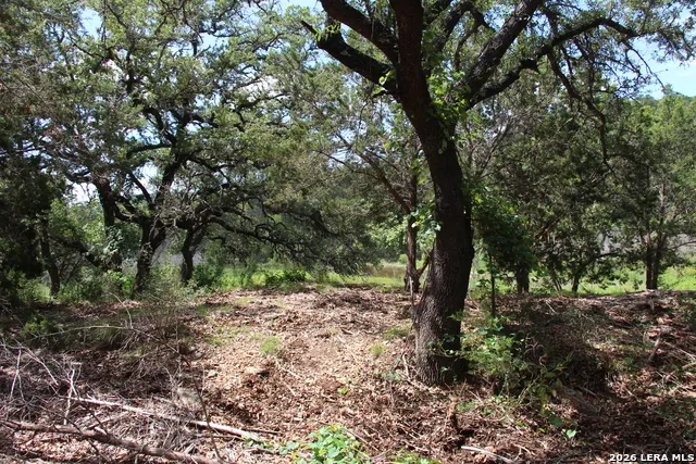 LOT 52 Clear Water Cyn Helotes, TX 78023
