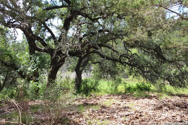 LOT 52 Clear Water Cyn Helotes, TX 78023
