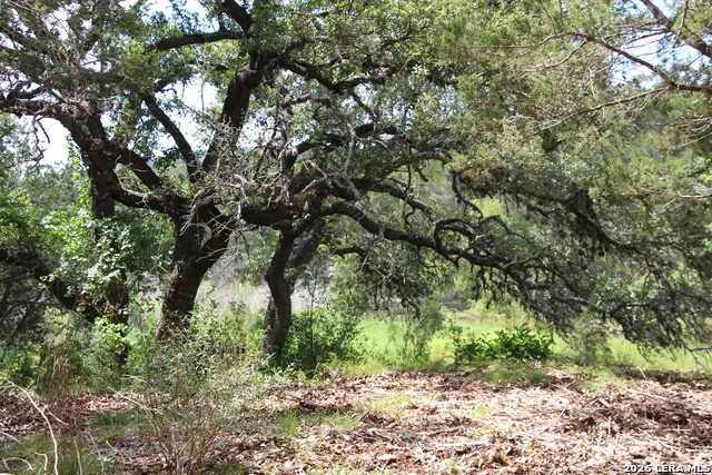 LOT 52 Clear Water Cyn Helotes, TX 78023
