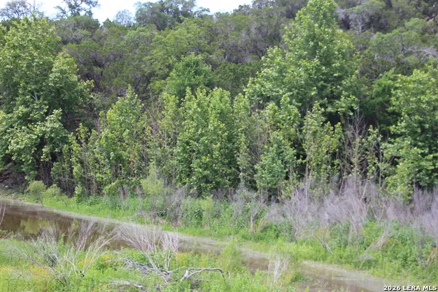 LOT 52 Clear Water Cyn Helotes, TX 78023