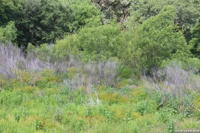 LOT 52 Clear Water Cyn Helotes, TX 78023