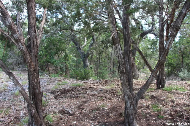 LOT 52 Clear Water Cyn Helotes, TX 78023