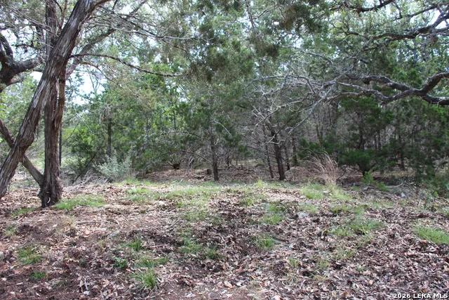 LOT 52 Clear Water Cyn Helotes, TX 78023