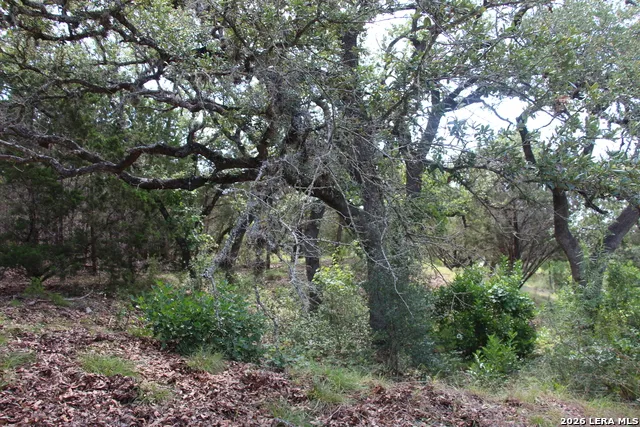 LOT 52 Clear Water Cyn Helotes, TX 78023