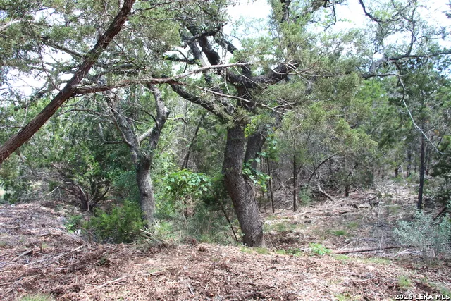LOT 52 Clear Water Cyn Helotes, TX 78023
