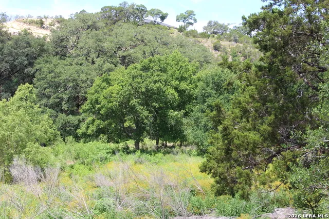 LOT 52 Clear Water Cyn Helotes, TX 78023