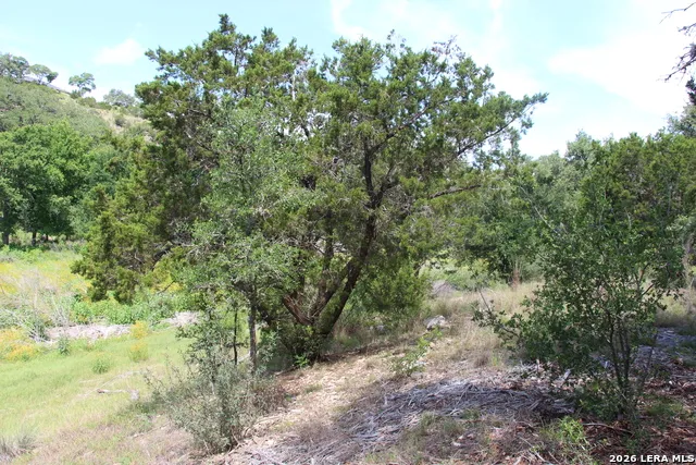 LOT 52 Clear Water Cyn Helotes, TX 78023