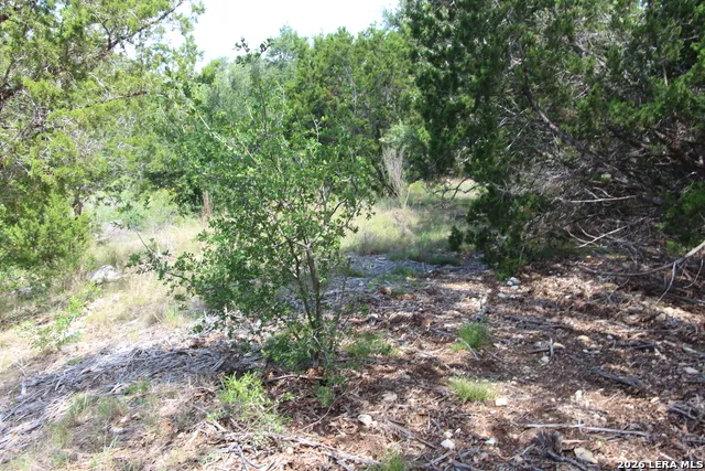 LOT 52 Clear Water Cyn Helotes, TX 78023