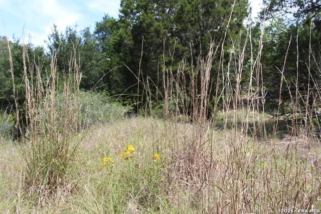 LOT 52 Clear Water Cyn Helotes, TX 78023