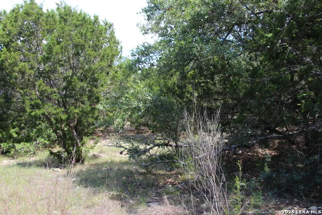 LOT 52 Clear Water Cyn Helotes, TX 78023