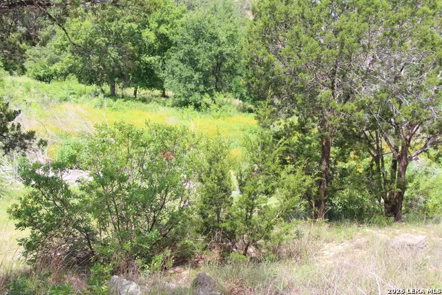 LOT 52 Clear Water Cyn Helotes, TX 78023
