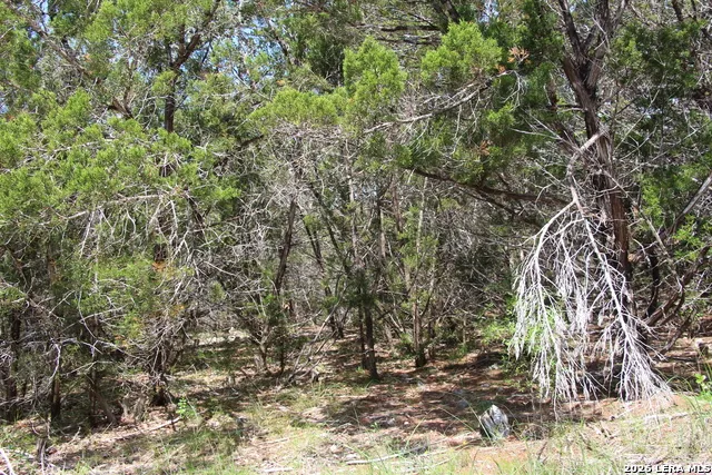LOT 52 Clear Water Cyn Helotes, TX 78023