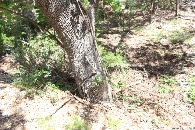 LOT 52 Clear Water Cyn Helotes, TX 78023