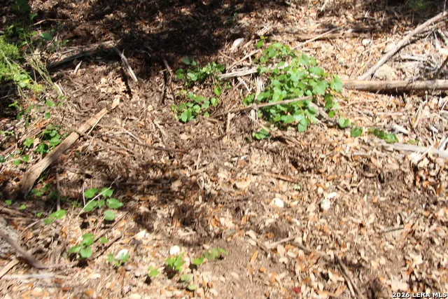 LOT 52 Clear Water Cyn Helotes, TX 78023