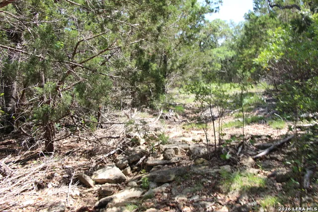 LOT 52 Clear Water Cyn Helotes, TX 78023