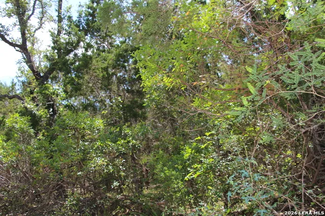 LOT 52 Clear Water Cyn Helotes, TX 78023