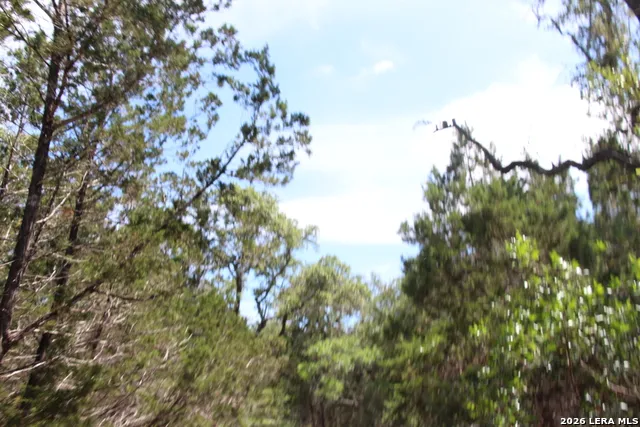LOT 52 Clear Water Cyn Helotes, TX 78023