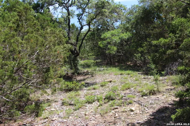 LOT 52 Clear Water Cyn Helotes, TX 78023