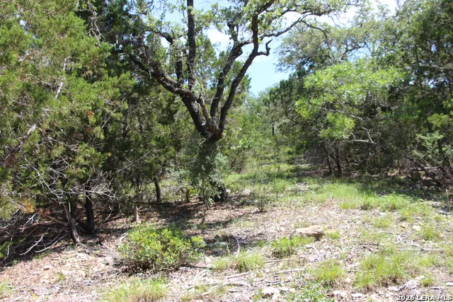 LOT 52 Clear Water Cyn Helotes, TX 78023