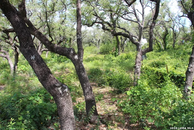 LOT 52 Clear Water Cyn Helotes, TX 78023