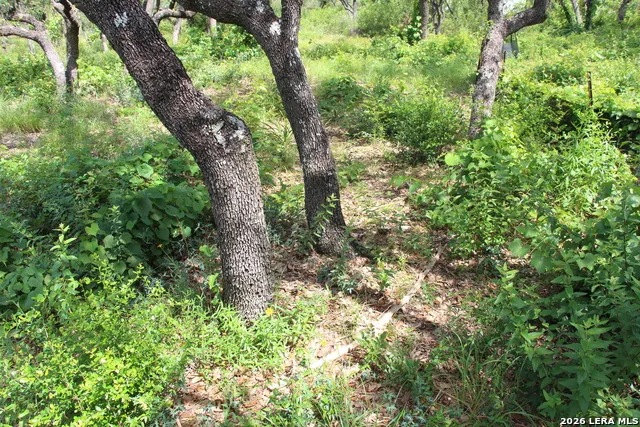 LOT 52 Clear Water Cyn Helotes, TX 78023