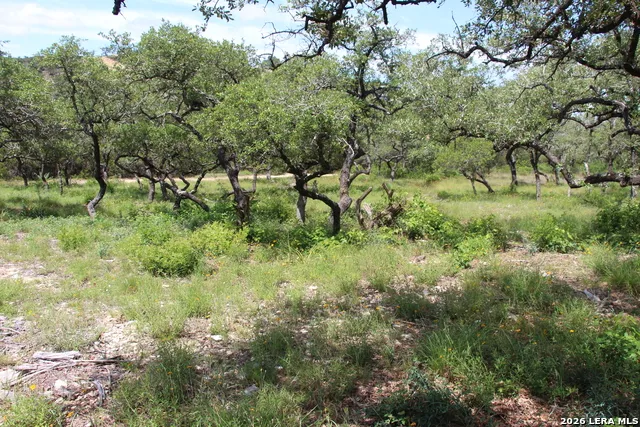 LOT 52 Clear Water Cyn Helotes, TX 78023