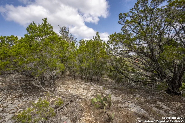 551 DEER CRK Spring Branch, TX 78070