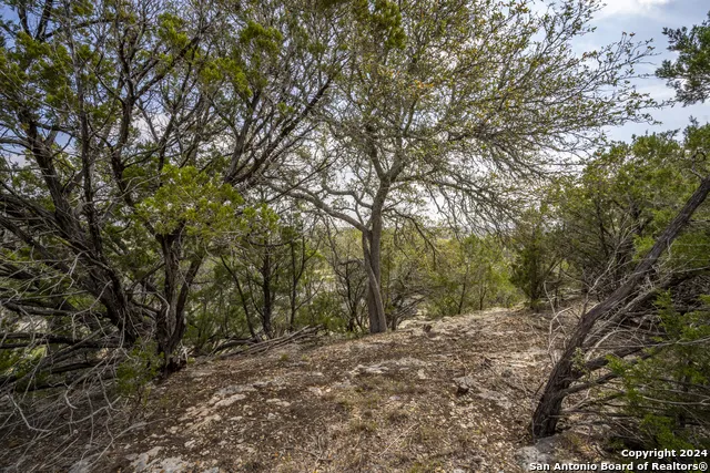 551 DEER CRK Spring Branch, TX 78070