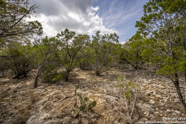 551 DEER CRK Spring Branch, TX 78070